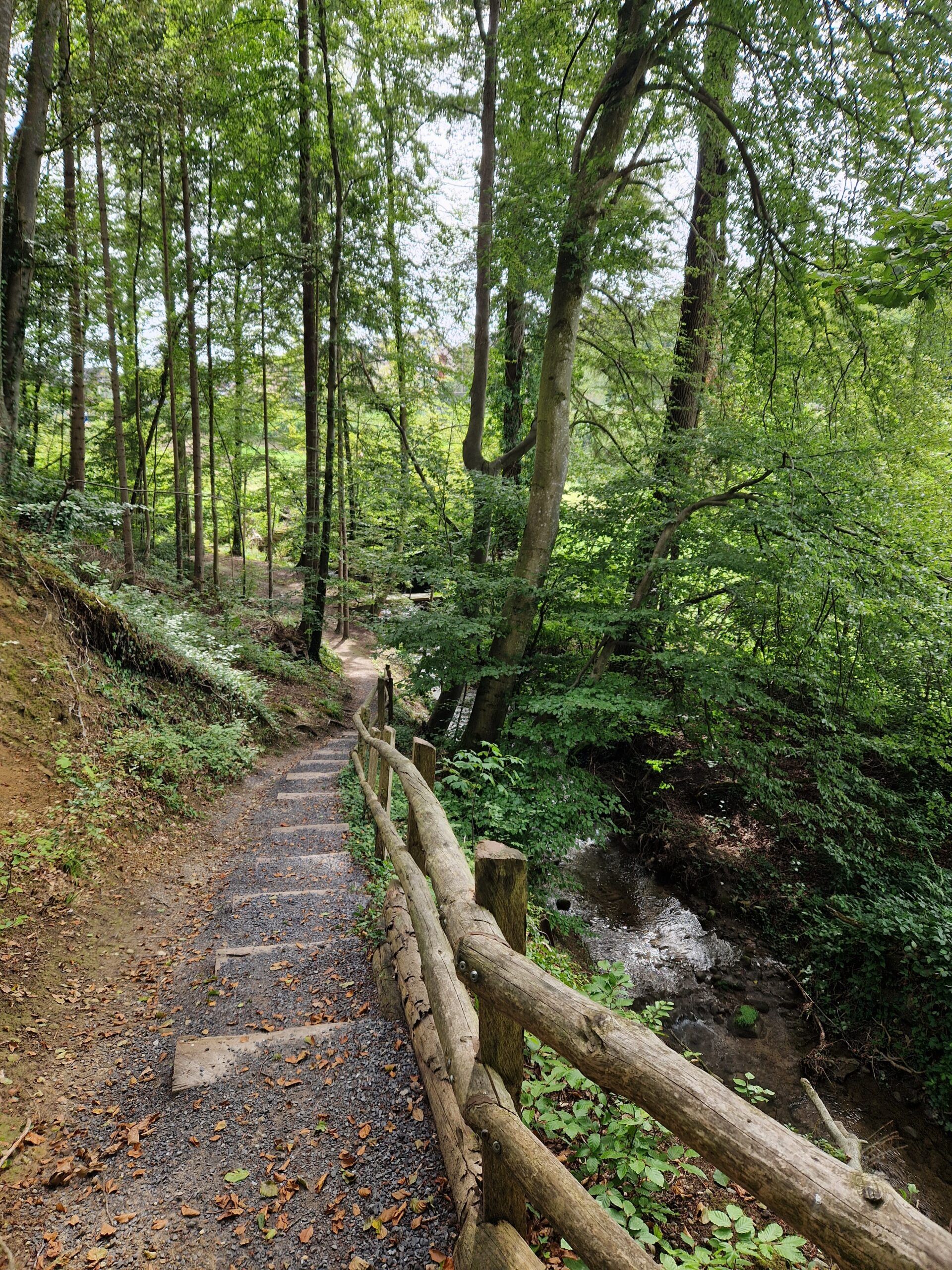 20230903_150332-21245024fcf47e03345e9db9d6f4a10c