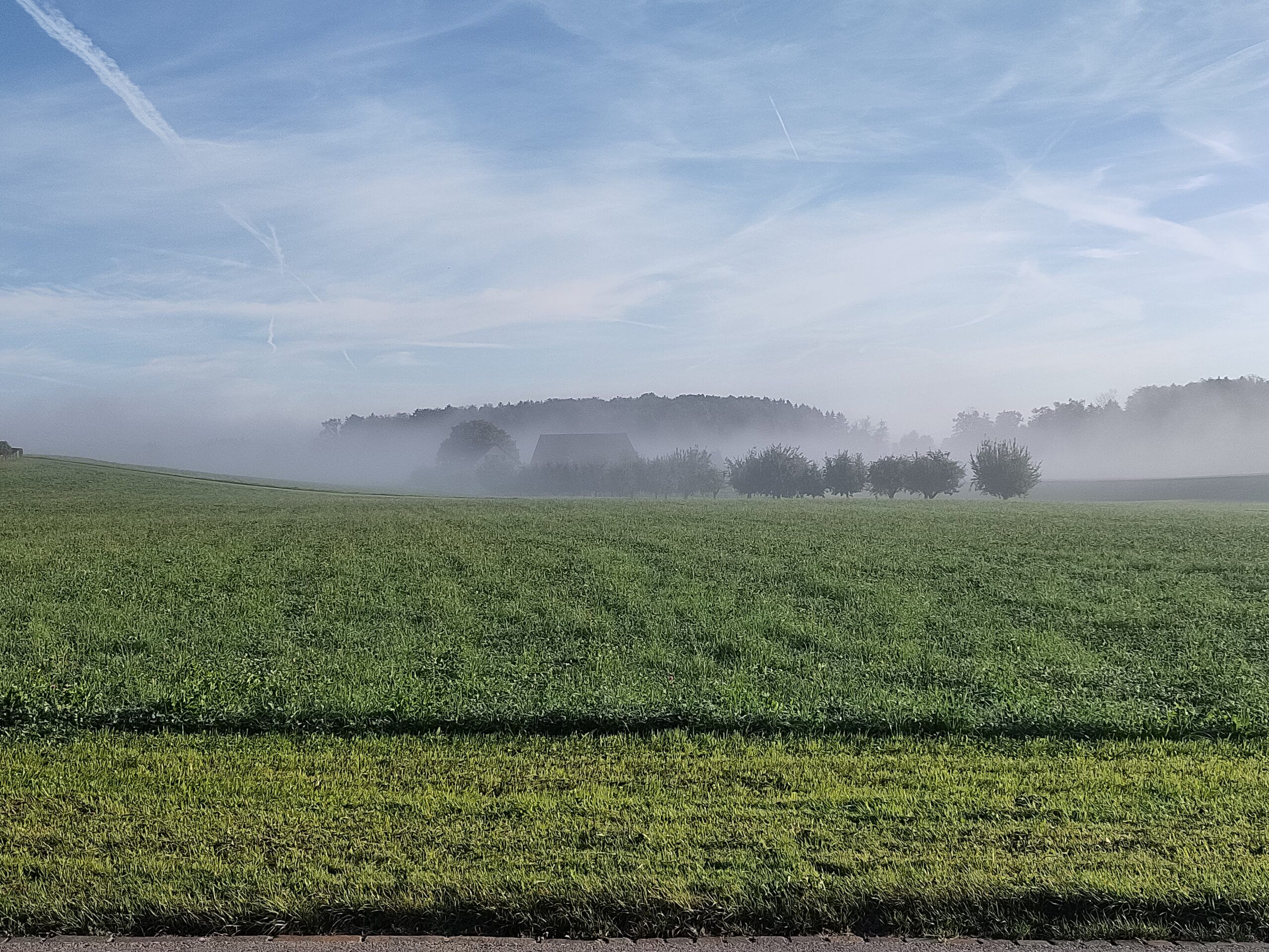 IMG_20230902_080130-e6f1fee9c4be34c842b8ce9e0364cb7b