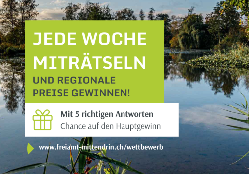 Netzwerkanlass bei der pflegimuri